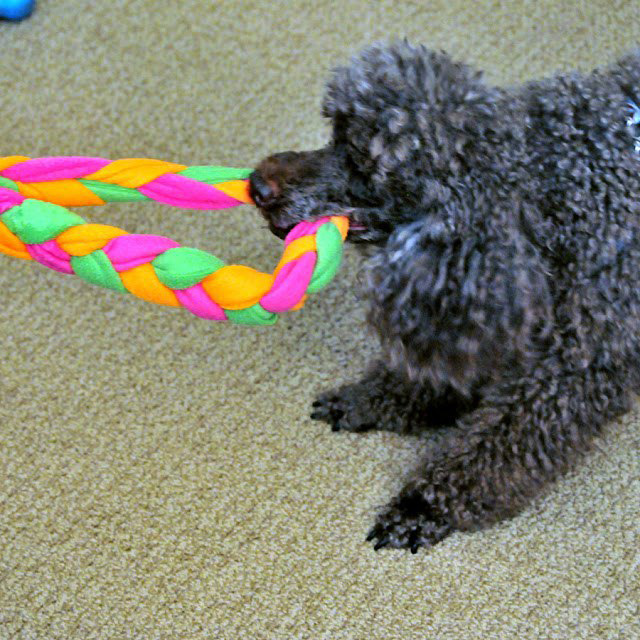 Плетеная игрушка из флиса для собаки-6